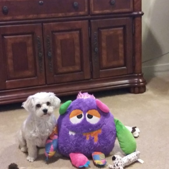 oleduckyme